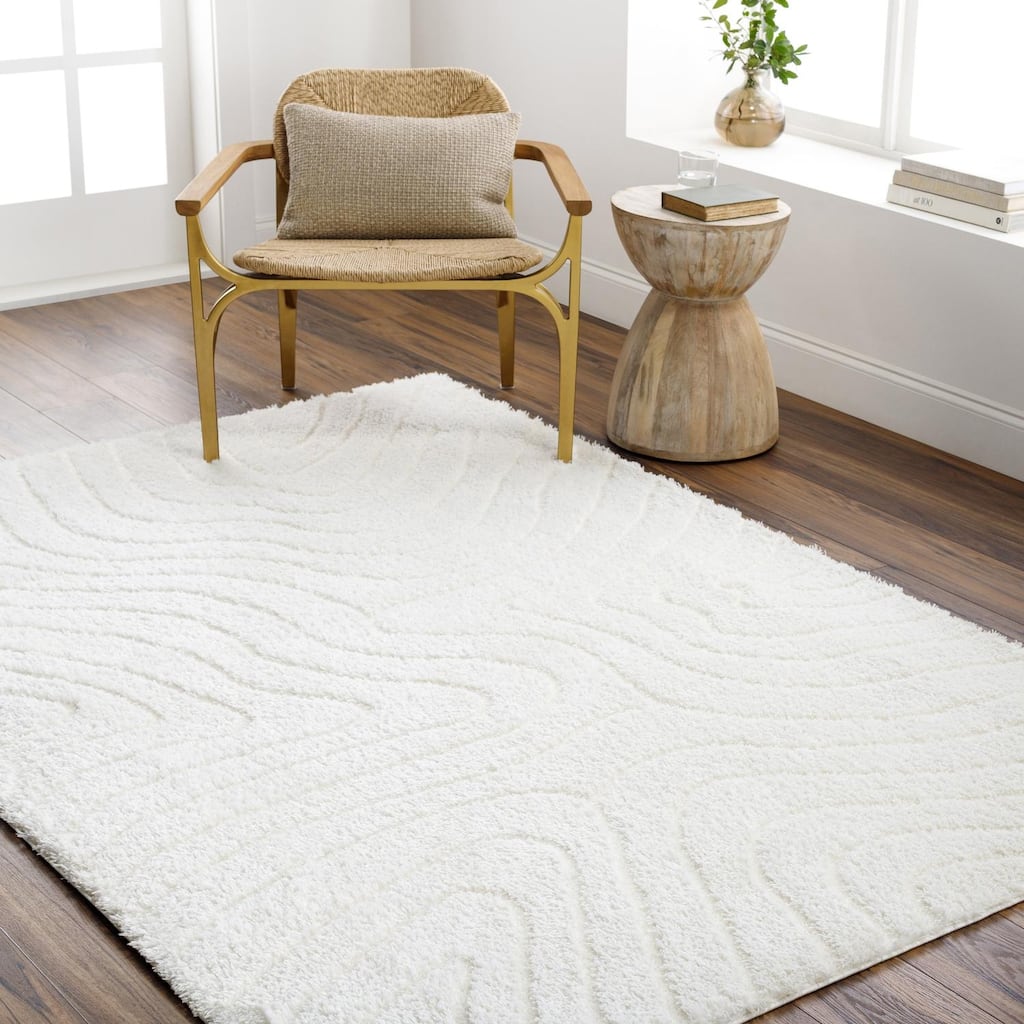 Livabliss Nomadic Casual Area Rug.