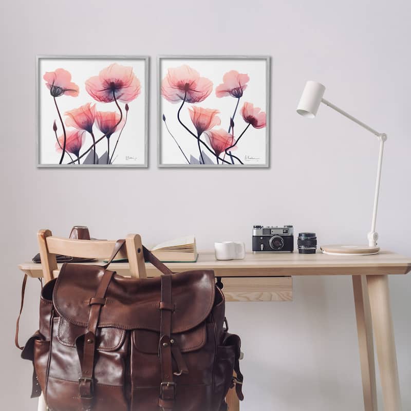 Stupell Various Faded Pink Flowers Framed Giclee Art Design By Albert Koetsier (Set of 2)