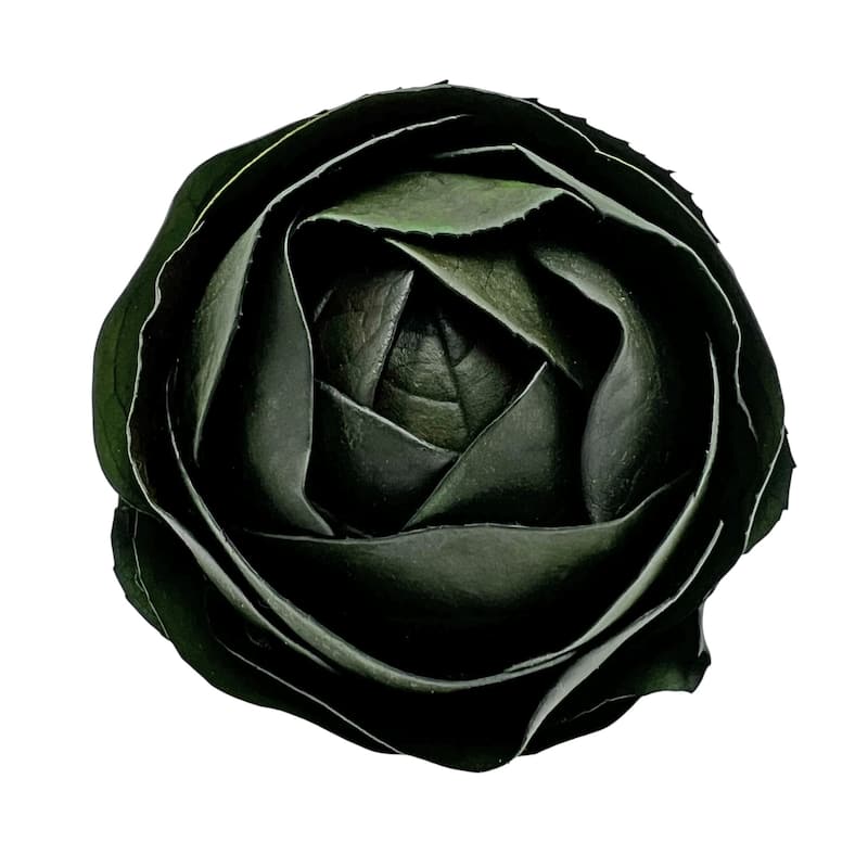 4 Preserved Leaves Decorative Orbs Bowl Filler – Green - Set of 4