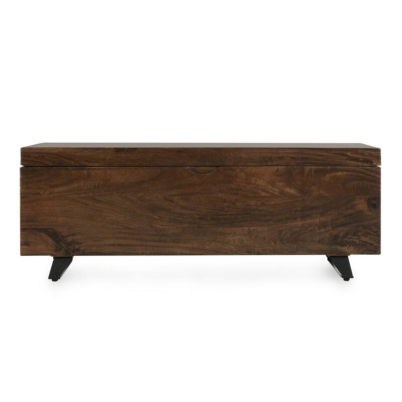 Axis 46" Storage Trunk in Dark Brown Finish by Kosas Home