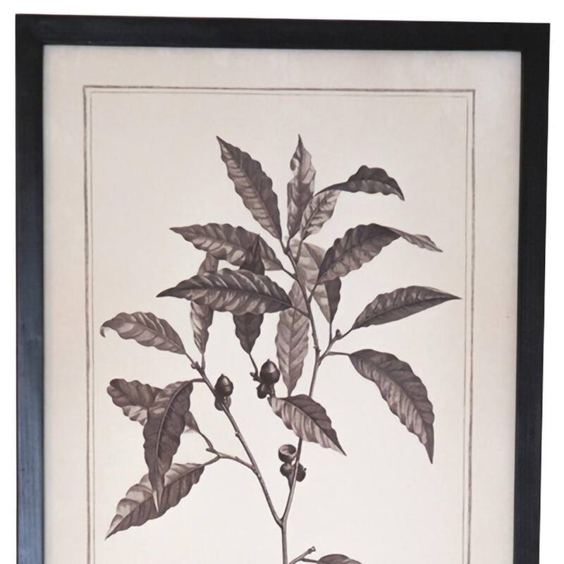 HomeRoots Set of Two Black And White Flower Framed Art