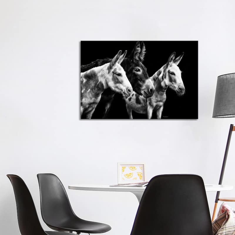 iCanvas "Donkey Portrait II" by PHBurchett Canvas Print - 26x40x1.5