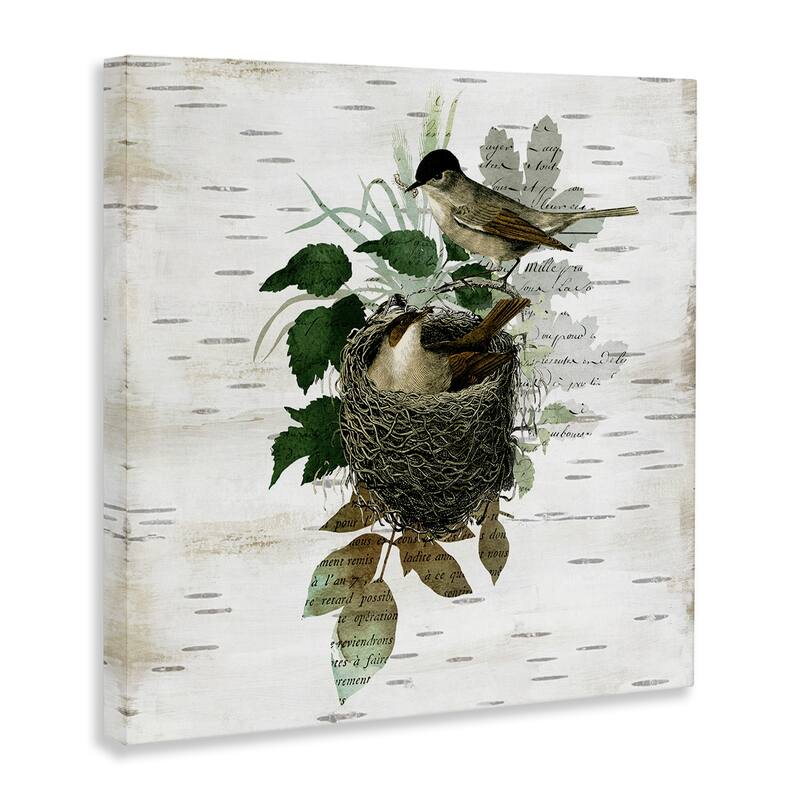 Stupell Birds in Vintage Nest Canvas Wall Art Design By Susan Arnot