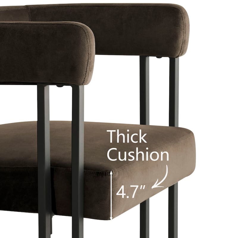 Upholstered Velvet Armchair (Set of 2)