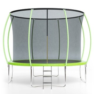 10FT Trampoline for Kids and Adults with Safety Enclosure & Ladder - Ideal for Outdoor Backyard Fun