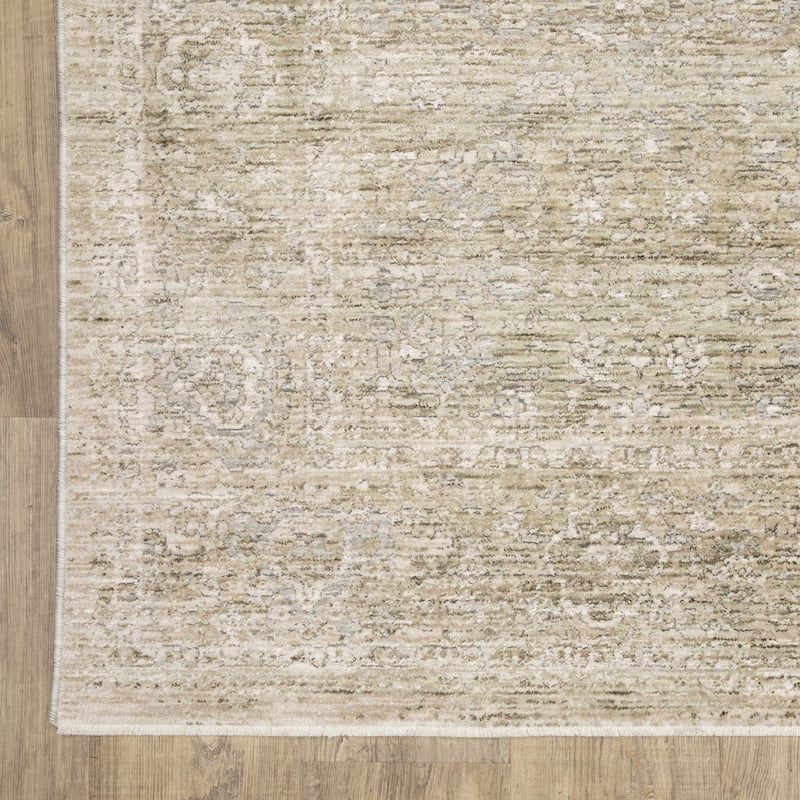 Amira Distressed Traditional Beige/ Grey Area Rug-