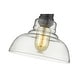 preview thumbnail 10 of 9, Golden Lighting Carver Single Light 8" Wide Mini Pendant with Clear