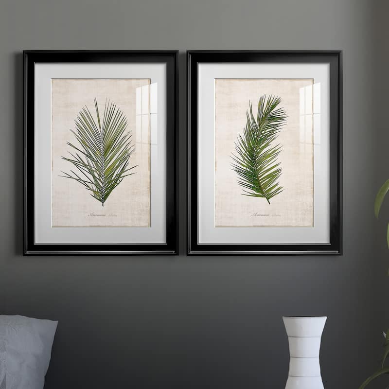 Palm Botanical I Premium Framed Print - Ready to Hang