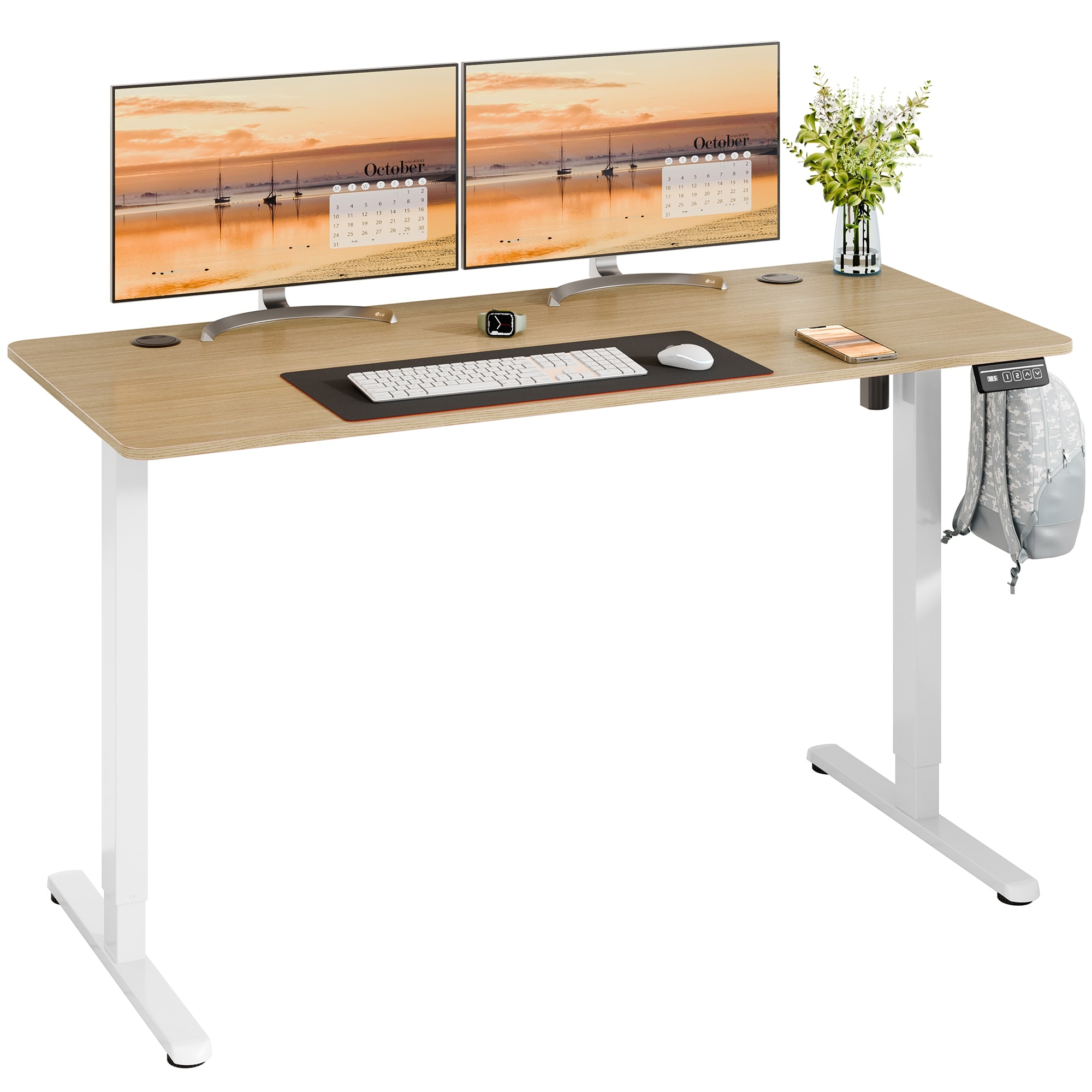 Futzca Height Adjustable Electric Standing Desk, Computer Office Desk