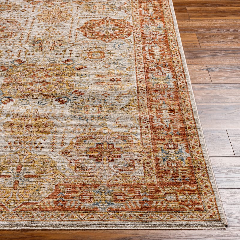 Aiyla Traditional Medallion Area Rug