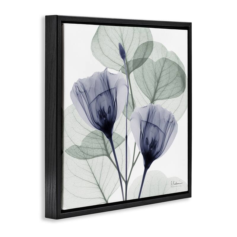 Stupell Contemporary Eucalyptus & Herbs Framed Floater Canvas Wall Art Design By Albert Koetsier
