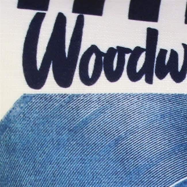 Woodward's Records and Music Throw Pillow with Polyfill Pillow Insert