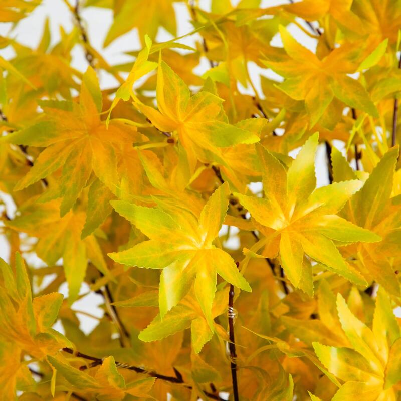 Pre-Lit Yellow Maple Fall Harvest Artificial Tree - 5' - Warm White LED Lights