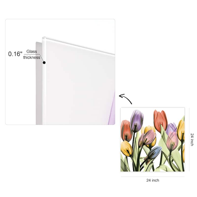 "Tulip Scape x-ray I" Frameless Free Floating Reverse Printed Tempered Art Glass Wall Art