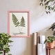 preview thumbnail 74 of 138, Nature Printed Ferns IX -Framed Print w/glass-Cherry Red
