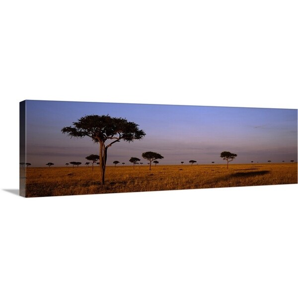 Shop "Acacia Trees on a landscape, Masai Mara, Kenya ...