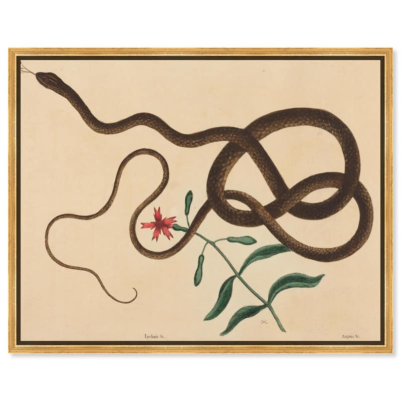 The Coach Whip Snake 1743 Canvas by Art Remedy - 24" x 20" - Gold
