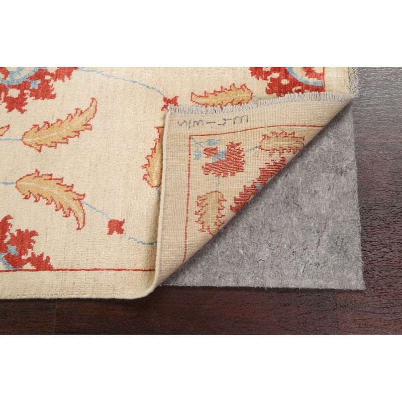 Vegetable Dye Floral Ziegler Area Rug Wool Hand-knotted Foyer Carpet - 3'2" x 4'4"