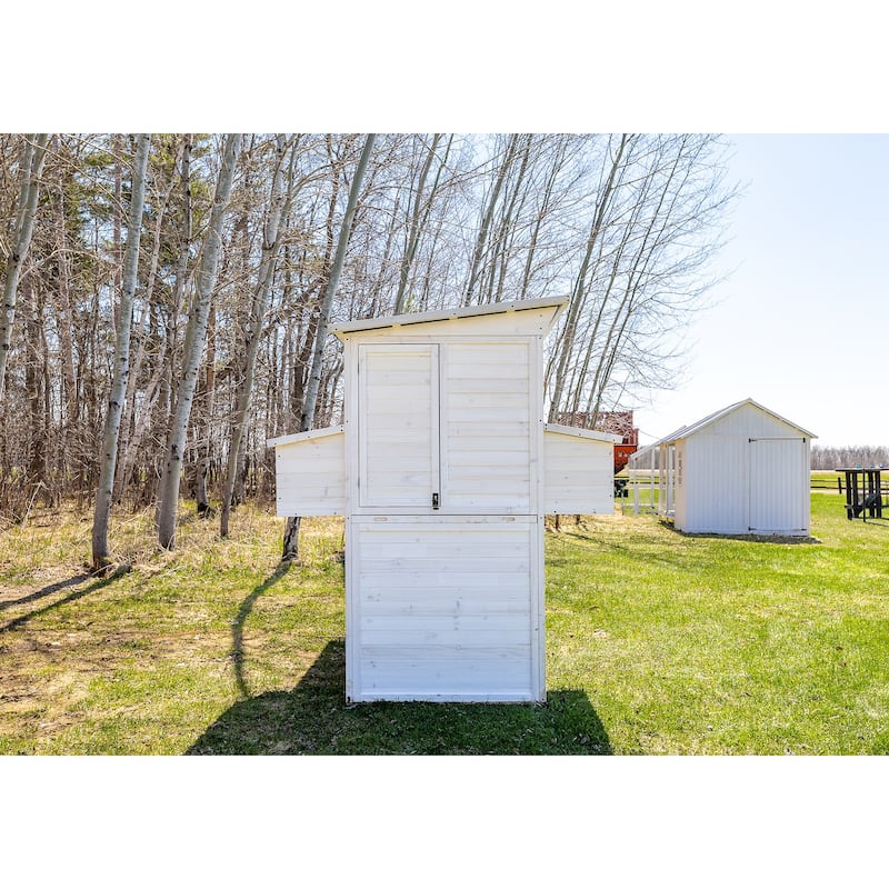 Zylina Modern Walk-in Chicken Coop