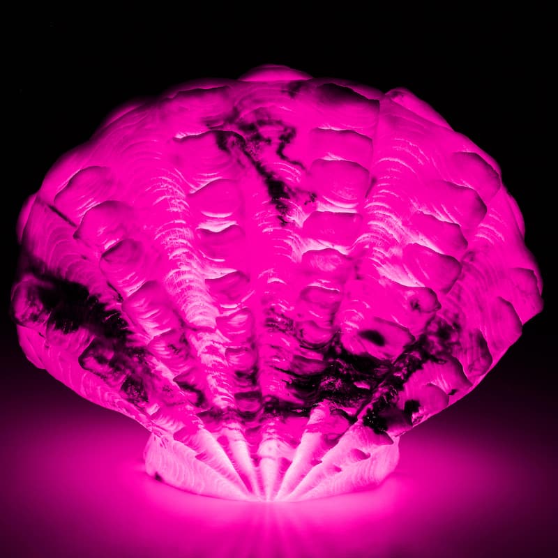 Aria Home Scallop Shell Table Lamp Sculpted Sandstone coastal accent