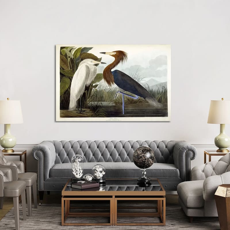 iCanvas "Purple Heron, c.1835" by John James Audubon Canvas Print