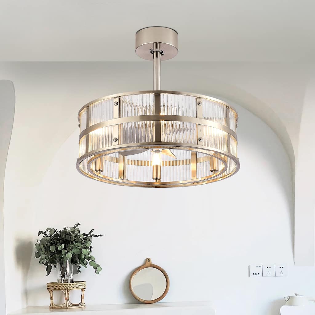 20" Modern 5-Blade Caged Ceiling Fan with Light Kit and Remote