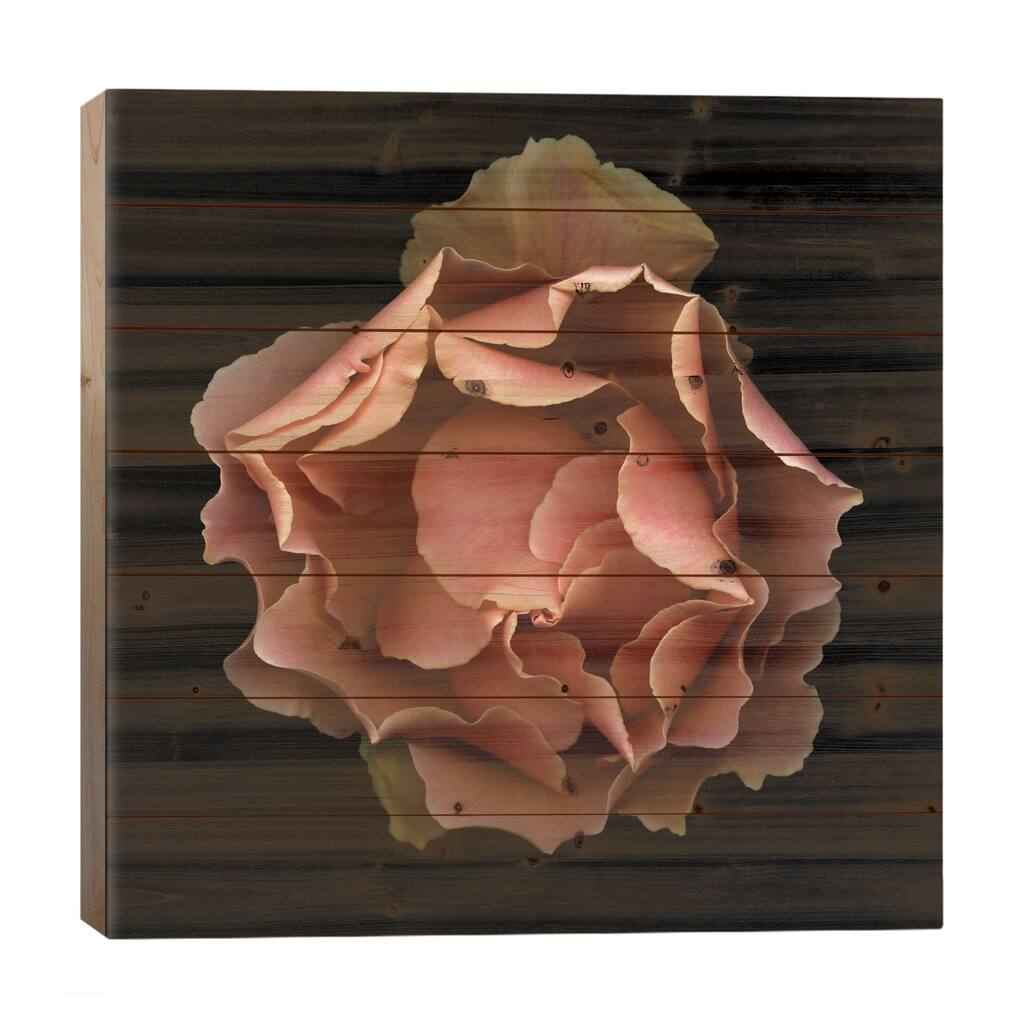 Paradise Lost Print On Wood by Magda Indigo - Multi-Color
