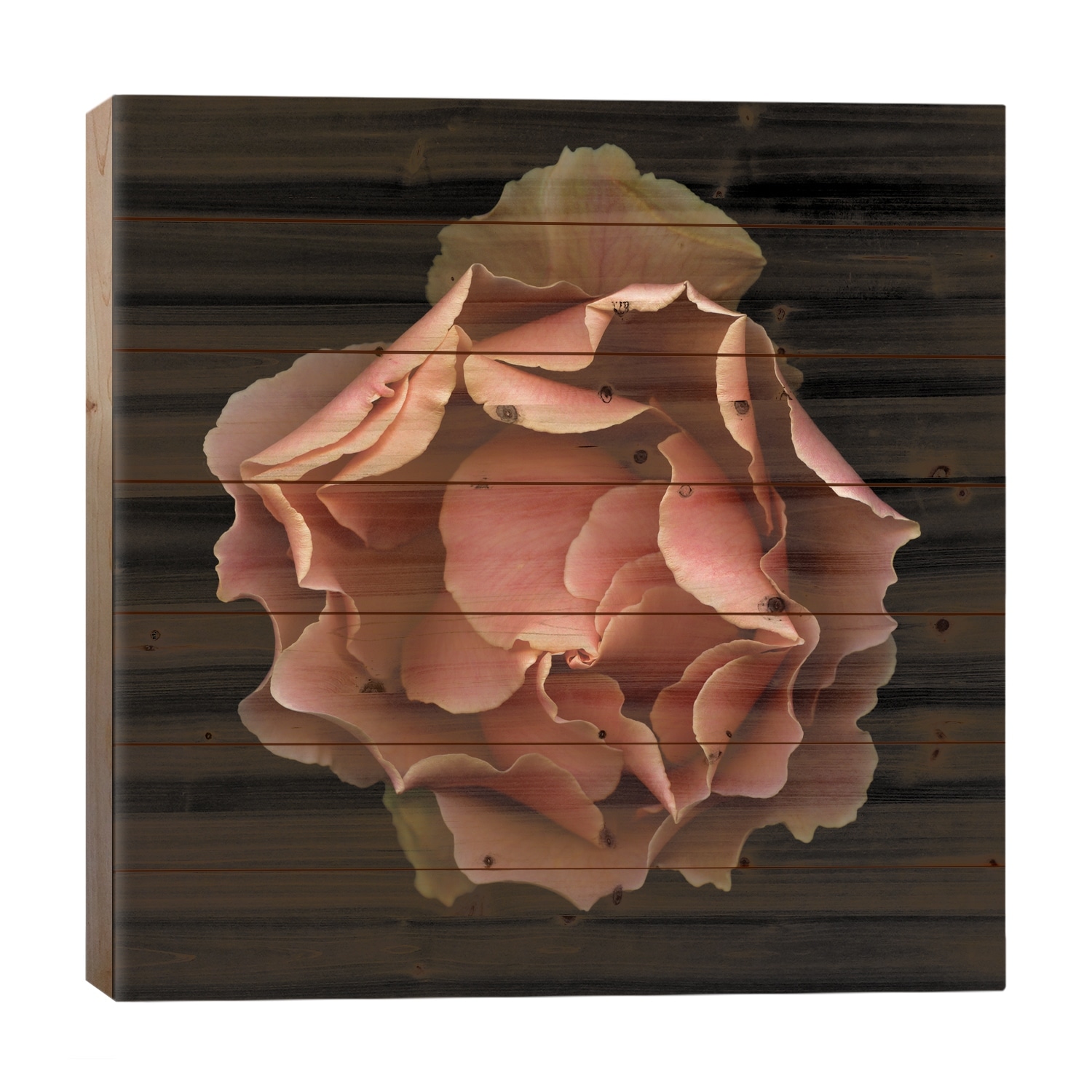 Paradise Lost Print On Wood by Magda Indigo - Multi-Color