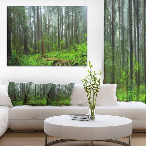 Designart "Hoh Rain Forest" Landscape Photography Canvas Print 32x16