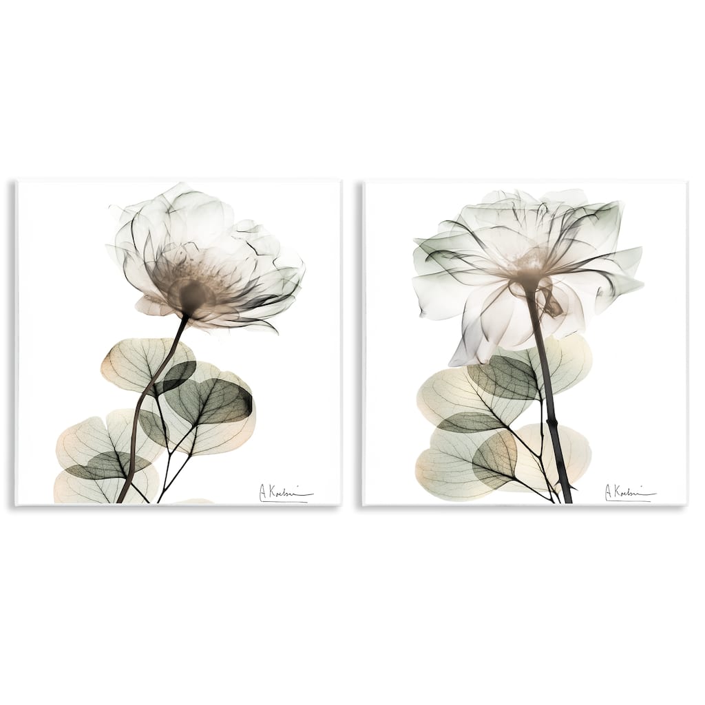 Stupell Cream Transparent Floral Wall Plaque Art Design By Albert Koetsier (Set of 2)