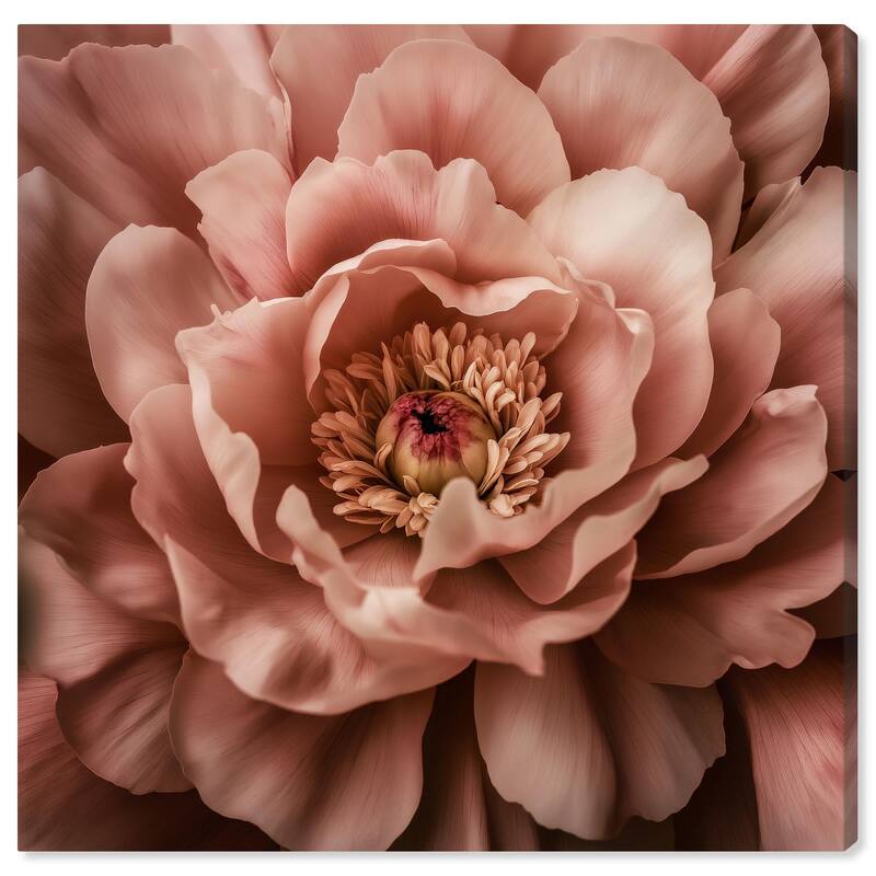 Romantic Elegance II Canvas by Art Remedy, Gallery Wrapped - 40" x 40"
