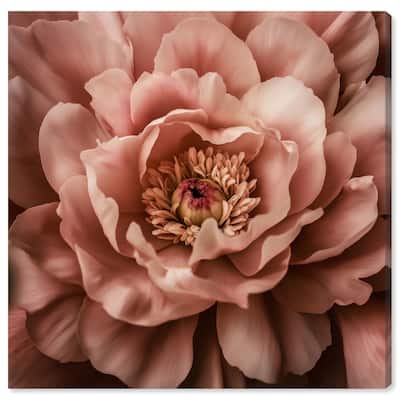 Romantic Elegance II Canvas by Art Remedy, Gallery Wrapped