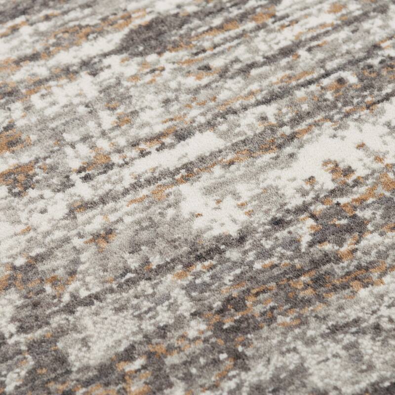 Alora Decor Cara Transitional Gray Recycled Polyester Area Rug