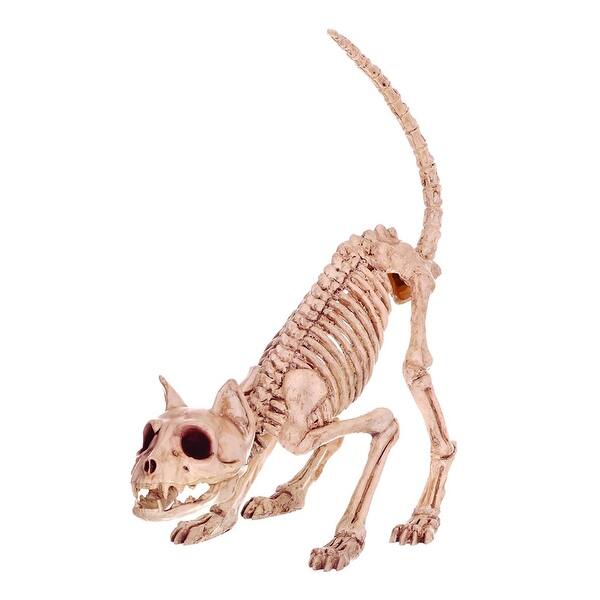 Shop Seasons Z28043 Halloween Skeleton Cat Bone 7 H X 6 W X 20
