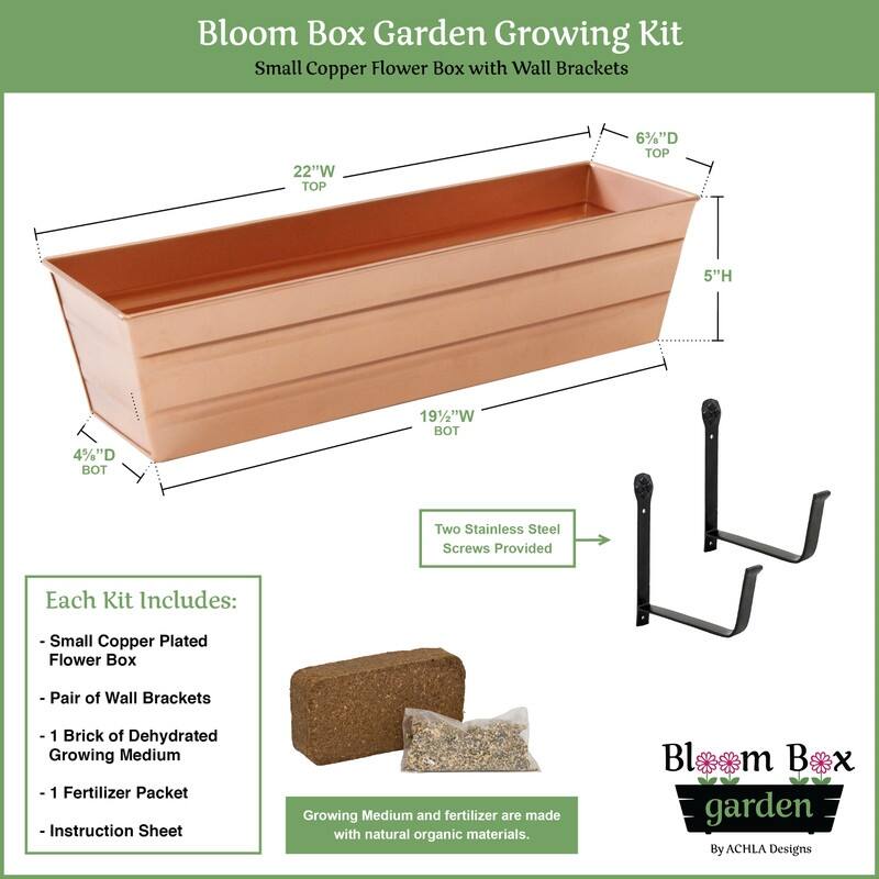Achla Designs 22" W Galvanized Steel/Wrought Iron Bloom Box Garden Growing Kit With Wall Brackets