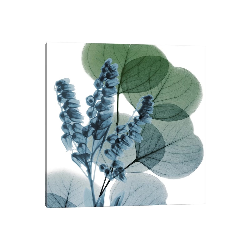 iCanvas "Lilly Of Eucalyptus I" by Albert Koetsier Canvas Print