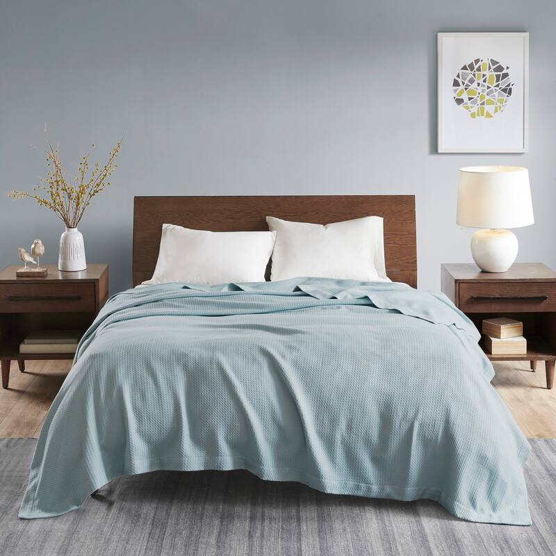 Madison Park Egyptian Cotton Solid Blanket - Twin - Light Blue