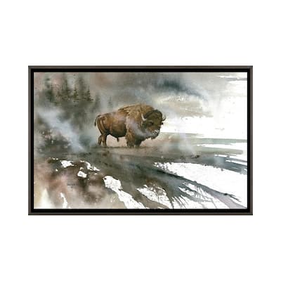 iCanvas "Bison" by Dave Bartholet Framed