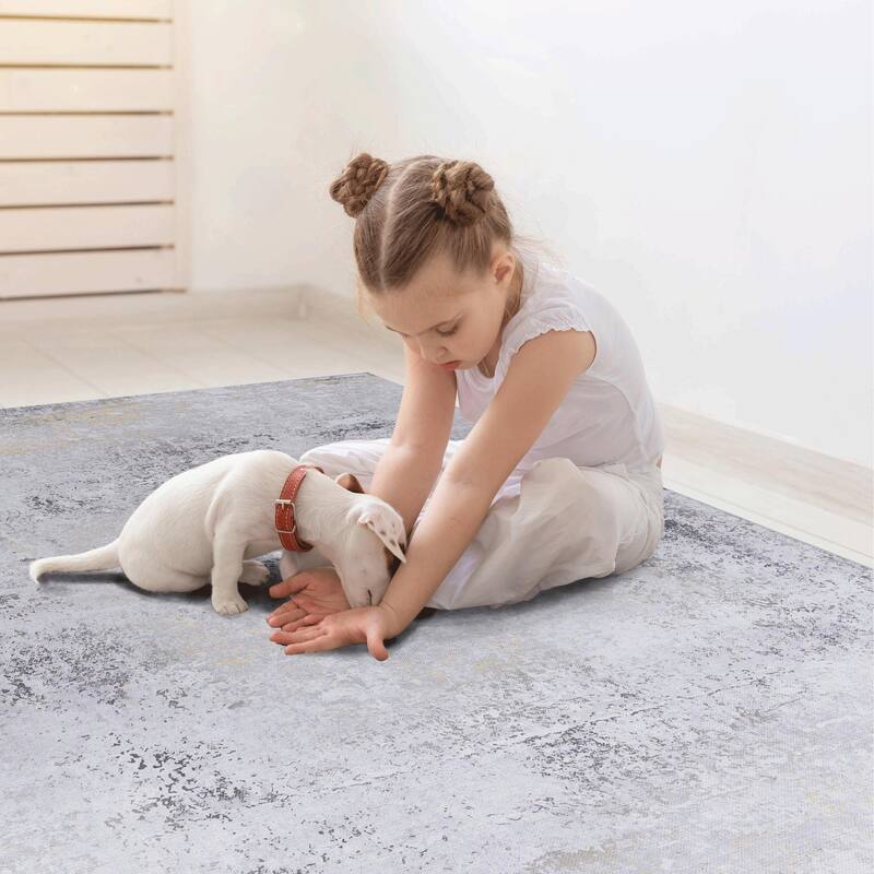 Area Rugs 2'6"x10"' Living Room,Washable Rug,Low-Pile,Non-Slip,Non-Shedding,Foldable,Kid & Pet Friendly for living room