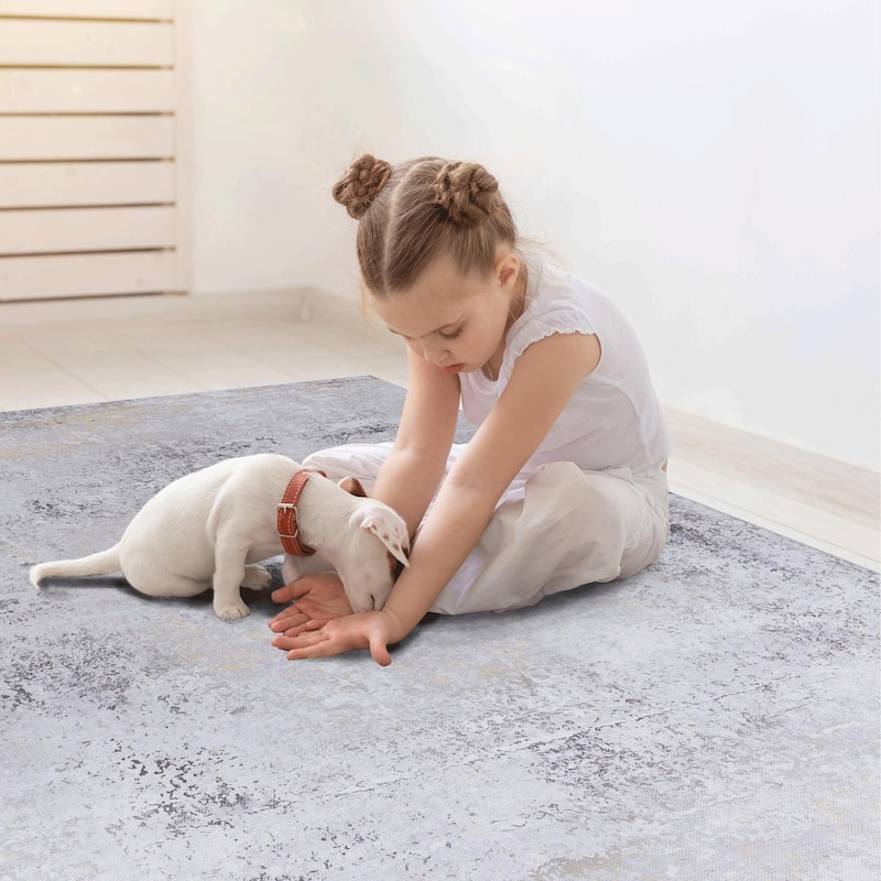 Area Rugs 8x10 Living Room,Washable Rug,Low-Pile,Non-Slip,Non-Shedding,Foldable,Kid & Pet Friendly for living room