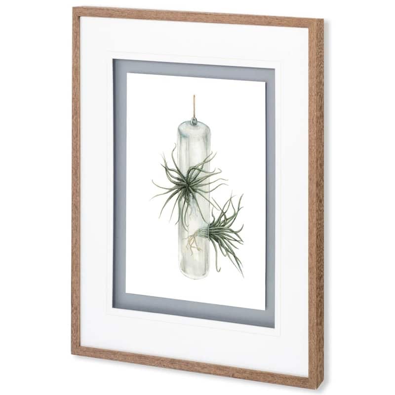 Air Plant 5 Framed Art Print