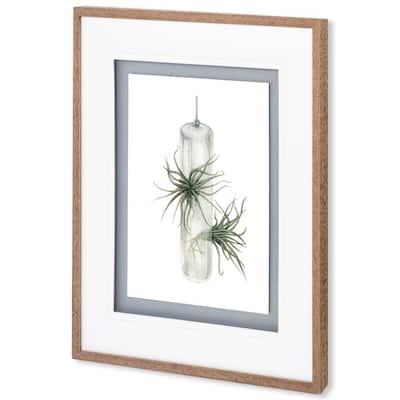 Air Plant 5 Framed Art Print