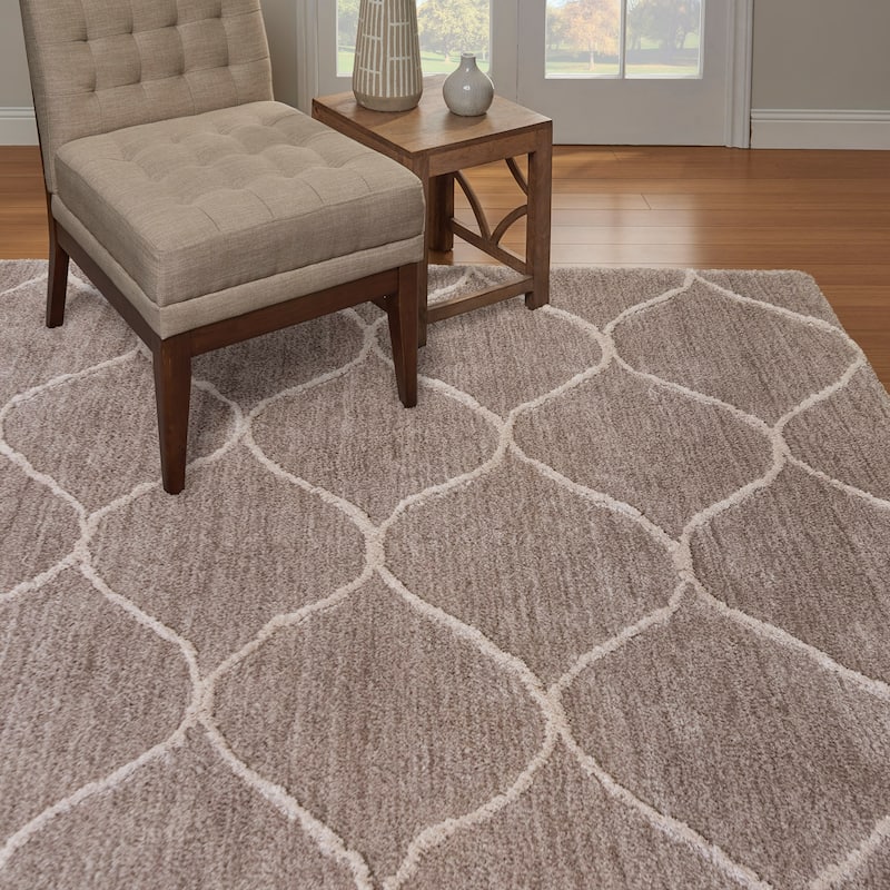 Gertmenain Soft Step Thick Plush Modern Shag Area Rug