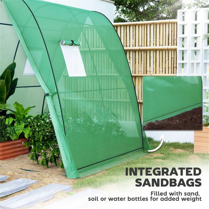PE Steel Gothic Arch Mini Greenhouse with Roll-Up Doors