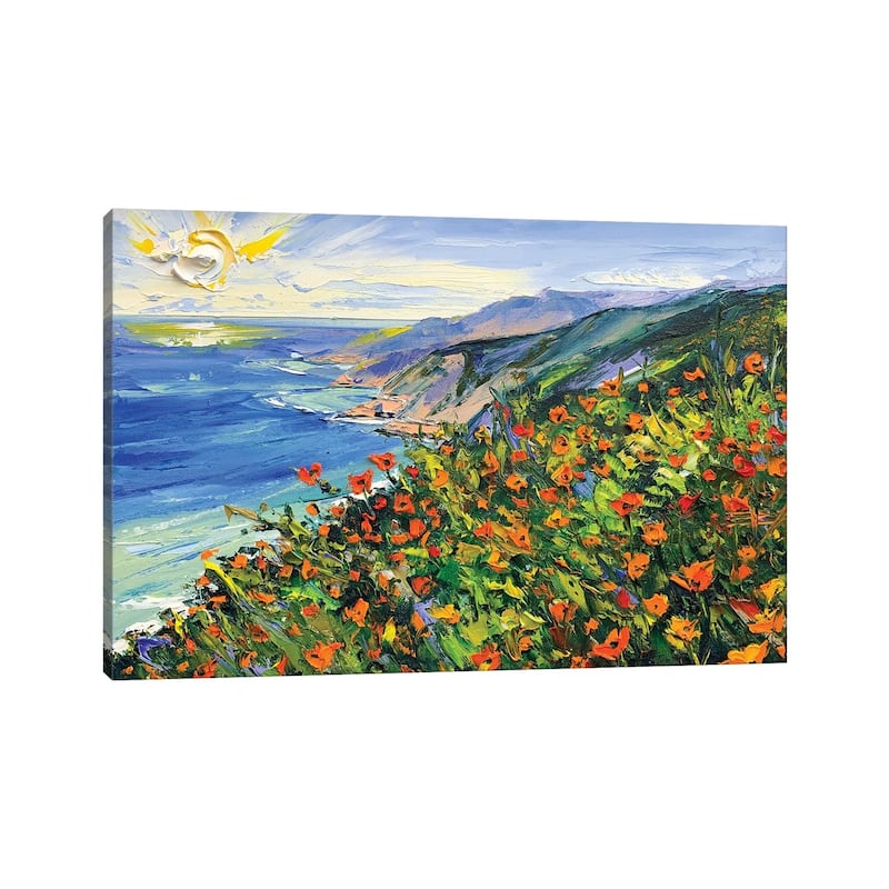 iCanvas "A Walk In Big Sur II" by Lisa Elley Canvas Print