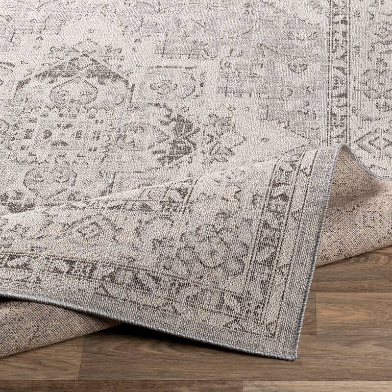 Ronald Indoor / Outdoor Medallion Area Rug