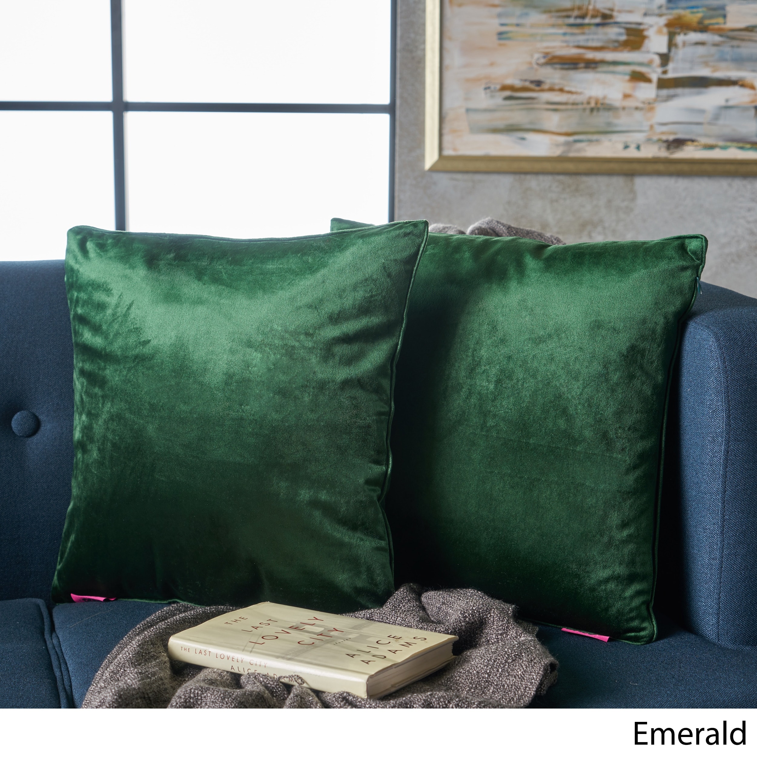 https://ak1.ostkcdn.com/images/products/is/images/direct/90e3794b9677e302dd871fe1b6232239a3f9169b/Ippolito-New-Velvet-Pillows-%28Set-of-2%29-by-Christopher-Knight-Home.jpg