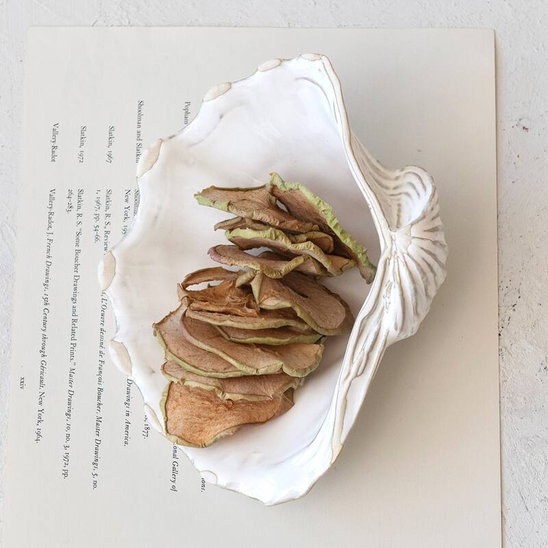 Stoneware Shell Plate with Reactive Crackle Glaze - 7.9"L x 6.1"W x 2.3"H - 7.9"L x 6.1"W x 2.3"H - White - 4 Piece