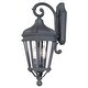 preview thumbnail 5 of 3, The Great Outdoors 2 Light 21" Height Outdoor Wall Sconce from the