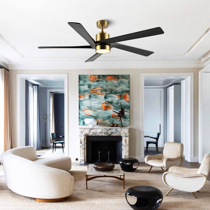 WINGBO 64 Inch DC Ceiling Fan with Lights and Remote Control, 5 Reversible Carved Wood Blades - N/A